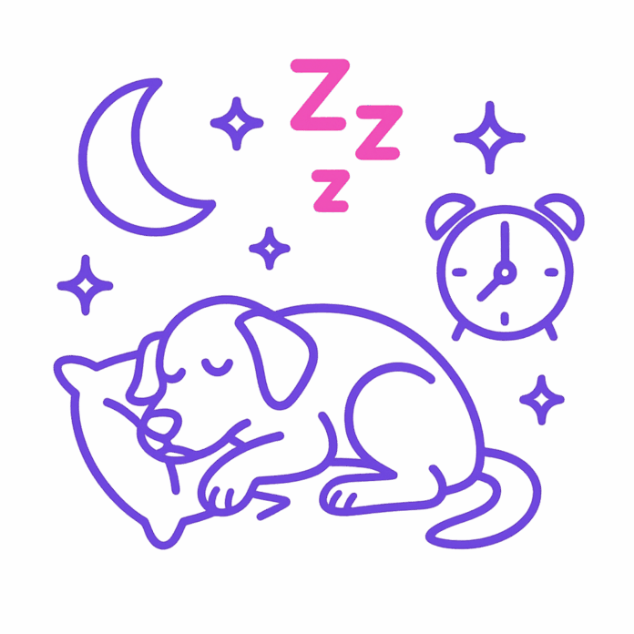 Melatonin für Hunde